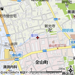 埼玉県所沢市金山町20-6周辺の地図
