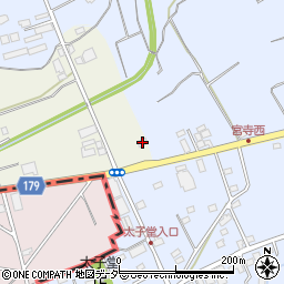 埼玉県入間市二本木1393周辺の地図