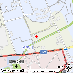 埼玉県入間市二本木1410周辺の地図