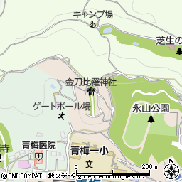 東京都青梅市本町220周辺の地図