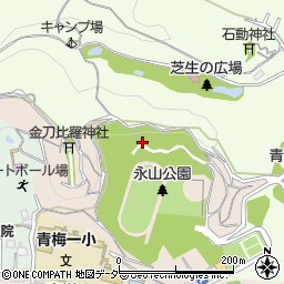 東京都青梅市本町218周辺の地図