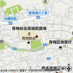 東京都青梅市東青梅6丁目10-1周辺の地図