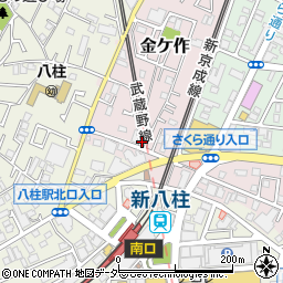 千葉県松戸市金ケ作43-98周辺の地図