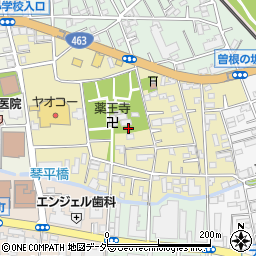 埼玉県所沢市有楽町周辺の地図