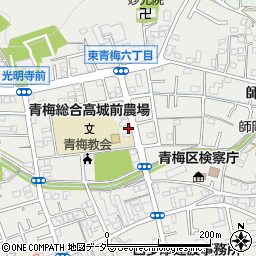 東京都青梅市東青梅6丁目10-15周辺の地図