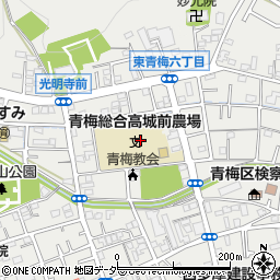 東京都青梅市東青梅6丁目10周辺の地図