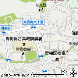 東京都青梅市東青梅6丁目16-6周辺の地図