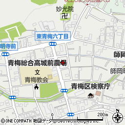 東京都青梅市東青梅6丁目16周辺の地図