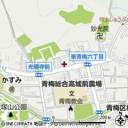東京都青梅市東青梅6丁目22-1周辺の地図