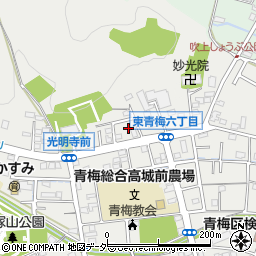 東京都青梅市東青梅6丁目22周辺の地図