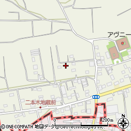 埼玉県入間市二本木599周辺の地図