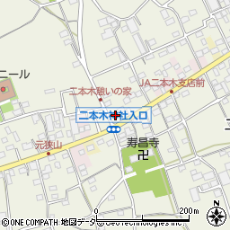 埼玉県入間市二本木1099周辺の地図