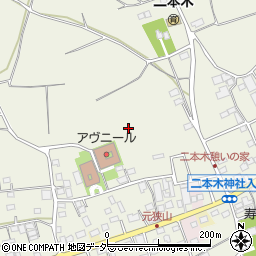 埼玉県入間市二本木周辺の地図