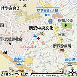 所沢文化幼稚園所沢中央文化幼稚園周辺の地図