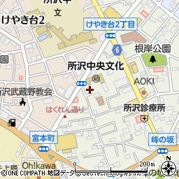 所沢　中央文化保育園周辺の地図