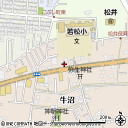 歌舞伎周辺の地図