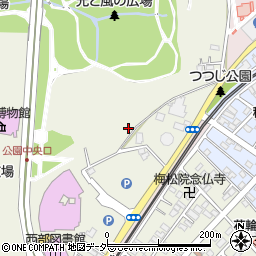 千葉県松戸市千駄堀620-61周辺の地図