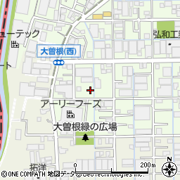 埼玉県八潮市大曽根1317周辺の地図
