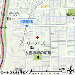 埼玉県八潮市大曽根1319-9周辺の地図