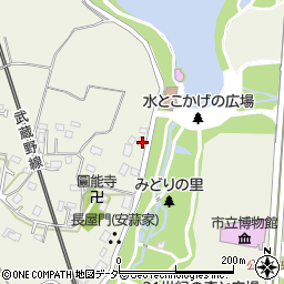 千葉県松戸市千駄堀245周辺の地図
