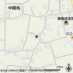 長野県伊那市東春近中殿島2663周辺の地図