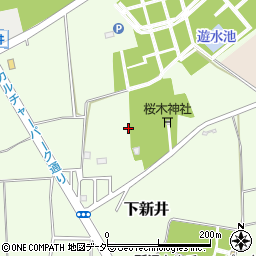 埼玉県所沢市下新井周辺の地図