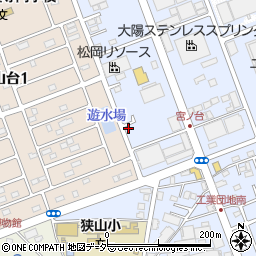 埼玉県入間市宮寺4201-9周辺の地図
