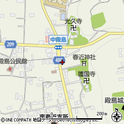 長野県伊那市東春近中殿島2342-5周辺の地図