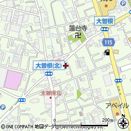 埼玉県八潮市大曽根491周辺の地図