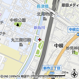 千葉県松戸市中根185周辺の地図