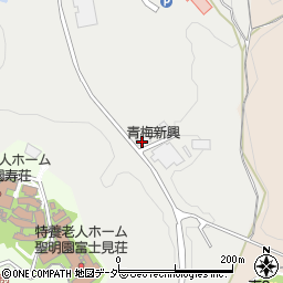 青梅新興株式会社周辺の地図