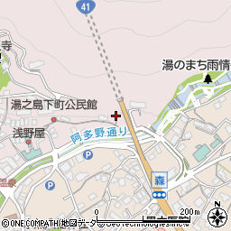岐阜県下呂市湯之島691周辺の地図