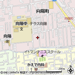 埼玉県所沢市向陽町2110-10周辺の地図