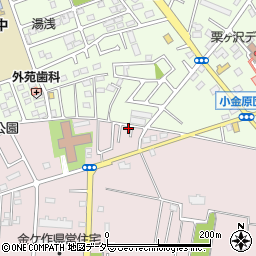 千葉県松戸市金ケ作239-22周辺の地図