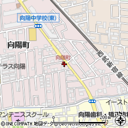 埼玉県所沢市向陽町2130-41周辺の地図