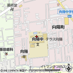埼玉県所沢市向陽町2124周辺の地図