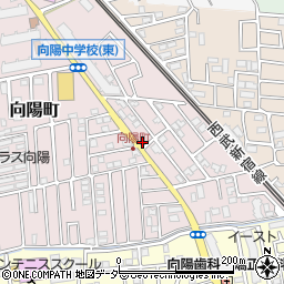 埼玉県所沢市向陽町2087-97周辺の地図