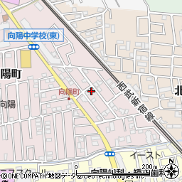 埼玉県所沢市向陽町2087周辺の地図