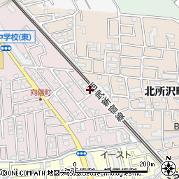 埼玉県所沢市向陽町2087-11周辺の地図