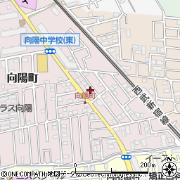 埼玉県所沢市向陽町2087-61周辺の地図