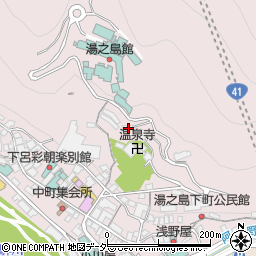 岐阜県下呂市湯之島675周辺の地図
