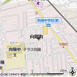 埼玉県所沢市向陽町2139-5周辺の地図