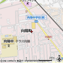 埼玉県所沢市向陽町2138周辺の地図