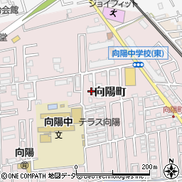 埼玉県所沢市向陽町2142周辺の地図