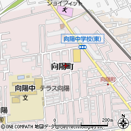 埼玉県所沢市向陽町2139-6周辺の地図