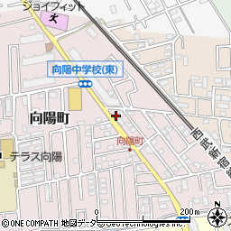 埼玉県所沢市向陽町2087-104周辺の地図