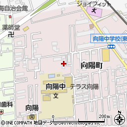 埼玉県所沢市向陽町2145周辺の地図