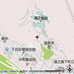 岐阜県下呂市湯之島641周辺の地図