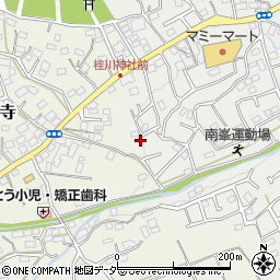 埼玉県入間市南峯248周辺の地図