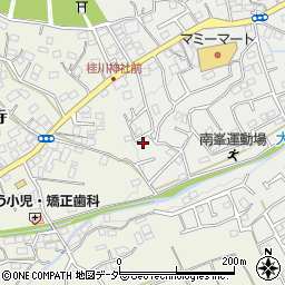埼玉県入間市南峯249周辺の地図